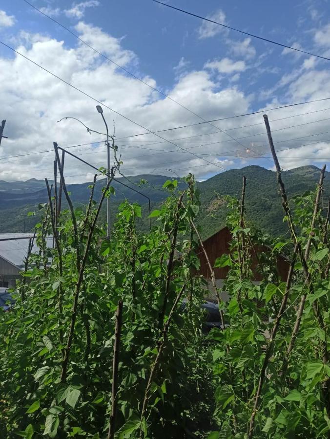 Bbq House Homestay Dilijan